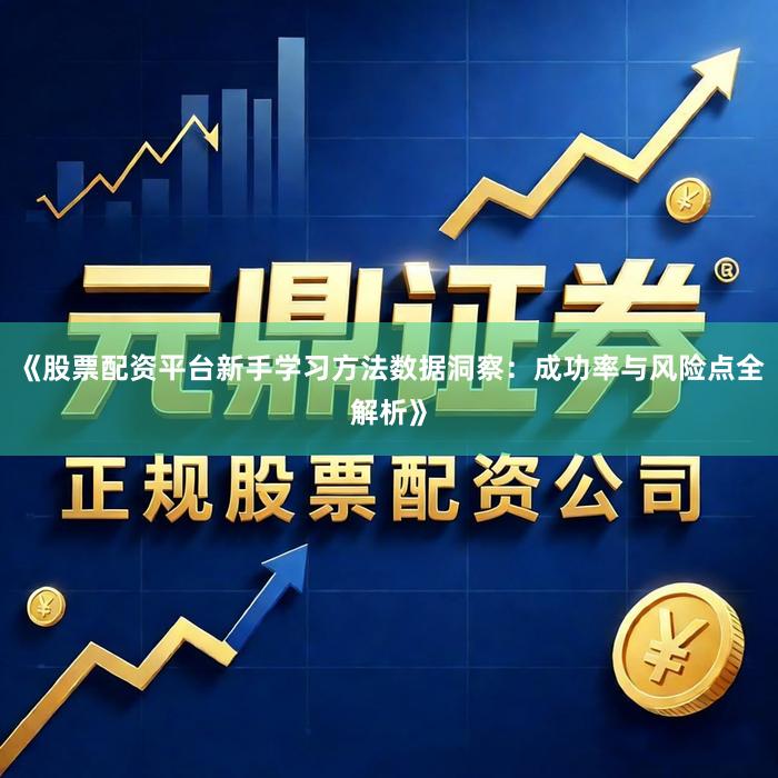 《股票配资平台新手学习方法数据洞察：成功率与风险点全解析》