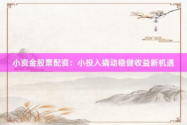 小资金股票配资：小投入撬动稳健收益新机遇