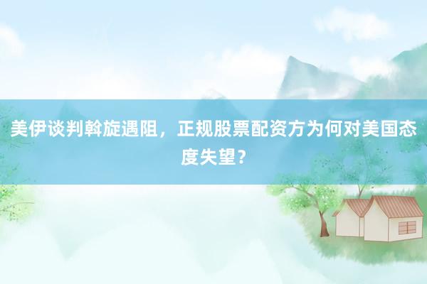美伊谈判斡旋遇阻，正规股票配资方为何对美国态度失望？