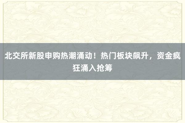 北交所新股申购热潮涌动！热门板块飙升，资金疯狂涌入抢筹