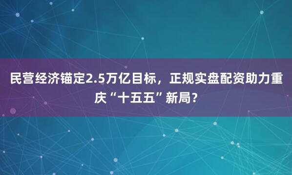 民营经济锚定2.5万亿目标,正规实盘配资助力重庆“十五五”新局?
