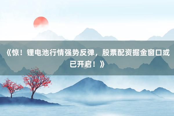 《惊！锂电池行情强势反弹，股票配资掘金窗口或已开启！》