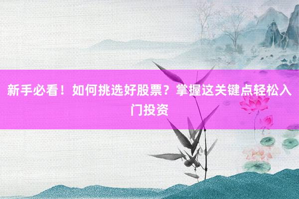 新手必看！如何挑选好股票？掌握这关键点轻松入门投资