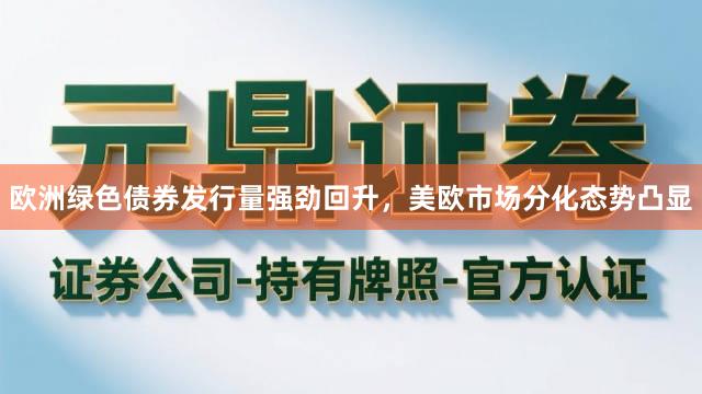 欧洲绿色债券发行量强劲回升，美欧市场分化态势凸显