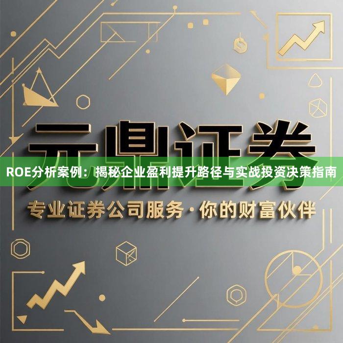 ROE分析案例：揭秘企业盈利提升路径与实战投资决策指南