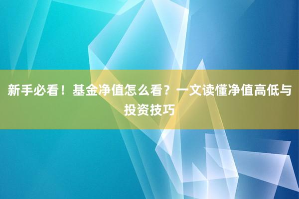 新手必看！基金净值怎么看？一文读懂净值高低与投资技巧
