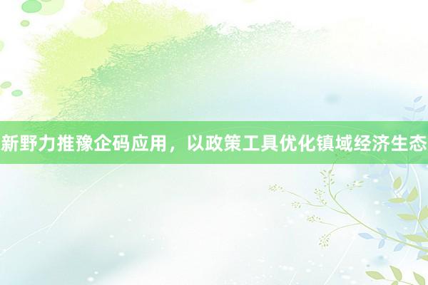 新野力推豫企码应用，以政策工具优化镇域经济生态