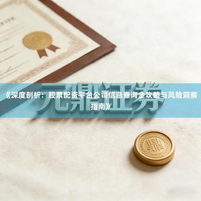 《深度剖析：股票配资平台公司信息查询全攻略与风险洞察指南》