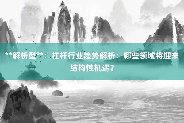 **解析型**：杠杆行业趋势解析：哪些领域将迎来结构性机遇？