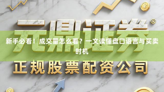 新手必看！成交量怎么看？一文读懂盘口语言与买卖时机