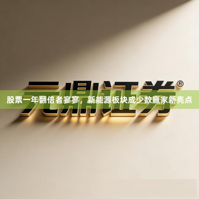 股票一年翻倍者寥寥，新能源板块成少数赢家新亮点