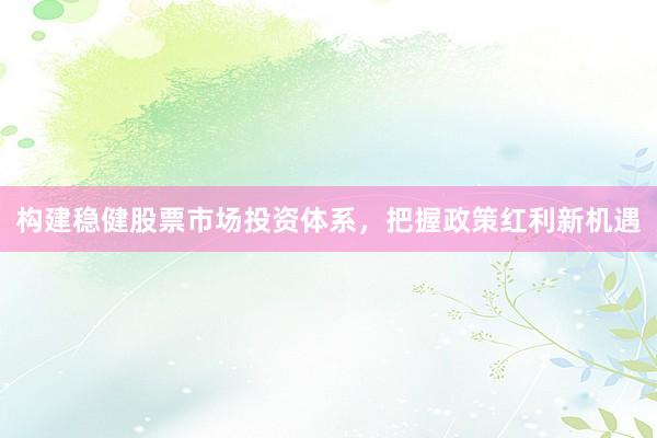 构建稳健股票市场投资体系，把握政策红利新机遇