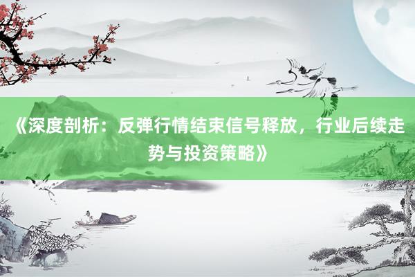 《深度剖析：反弹行情结束信号释放，行业后续走势与投资策略》