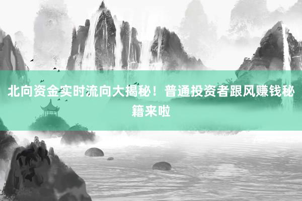 北向资金实时流向大揭秘！普通投资者跟风赚钱秘籍来啦