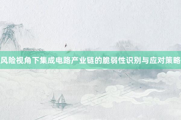 风险视角下集成电路产业链的脆弱性识别与应对策略