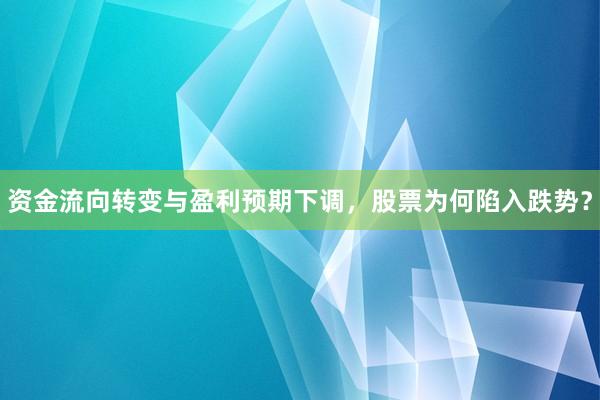 资金流向转变与盈利预期下调，股票为何陷入跌势？