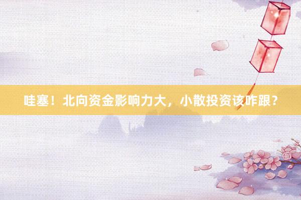 哇塞！北向资金影响力大，小散投资该咋跟？