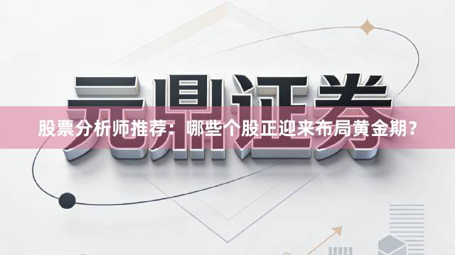 股票分析师推荐：哪些个股正迎来布局黄金期？