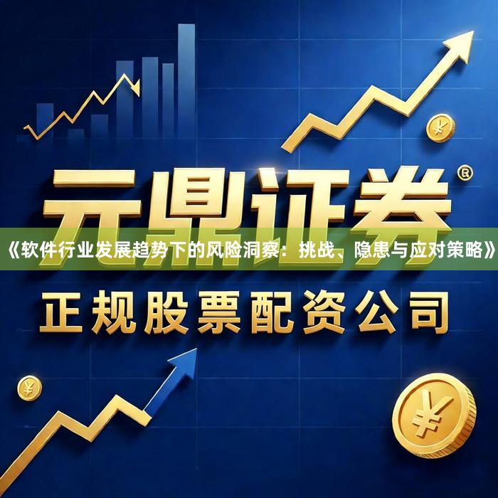 《软件行业发展趋势下的风险洞察：挑战、隐患与应对策略》