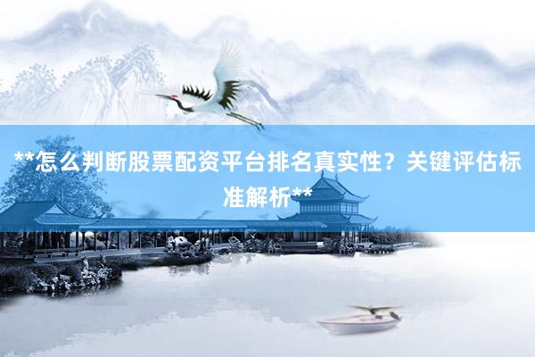 **怎么判断股票配资平台排名真实性？关键评估标准解析**