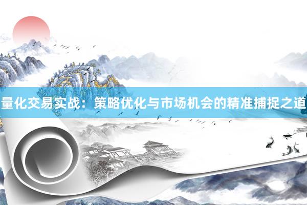 量化交易实战：策略优化与市场机会的精准捕捉之道